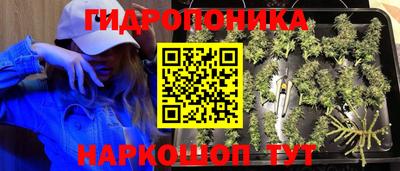 ALPHA PVP Ливны