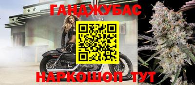 стафф Лесосибирск