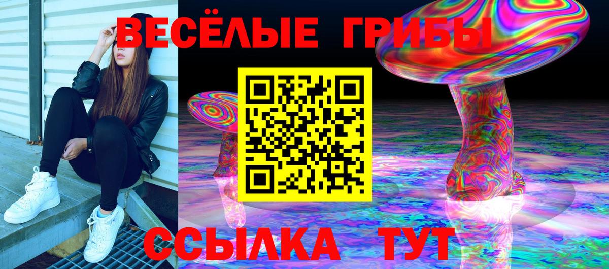 Учалы  Псилоцибиновые грибы мицелий  Вход с VPN 